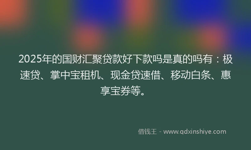 2025年的国财汇聚贷款好下款吗是真的吗有：极速贷、掌中宝租机、现金贷速借、移动白条、惠享宝券等。