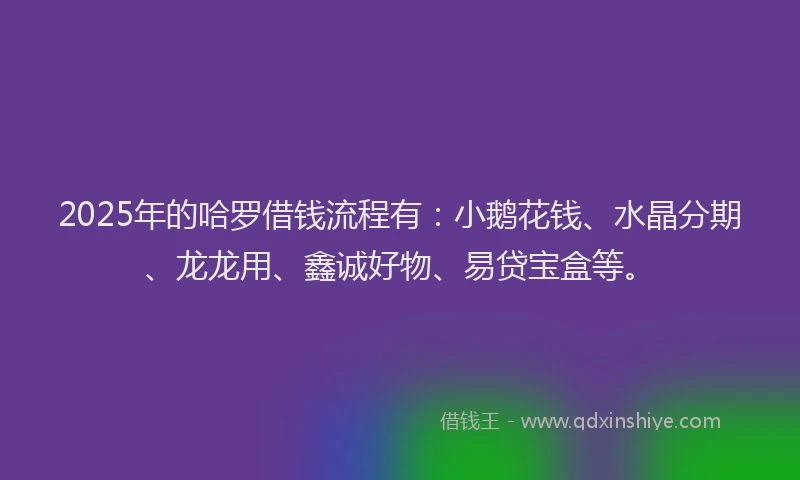 2025年的哈罗借钱流程有：小鹅花钱、水晶分期、龙龙用、鑫诚好物、易贷宝盒等。