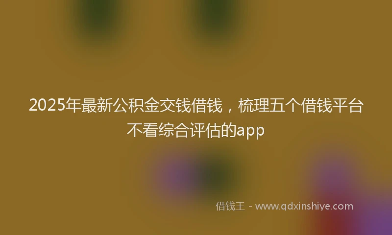 2025年最新公积金交钱借钱，梳理五个借钱平台不看综合评估的app