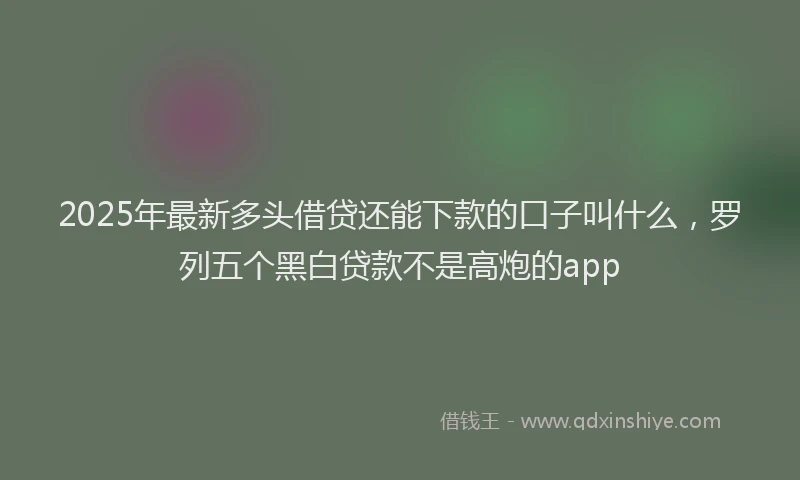 2025年最新多头借贷还能下款的口子叫什么，罗列五个黑白贷款不是高炮的app