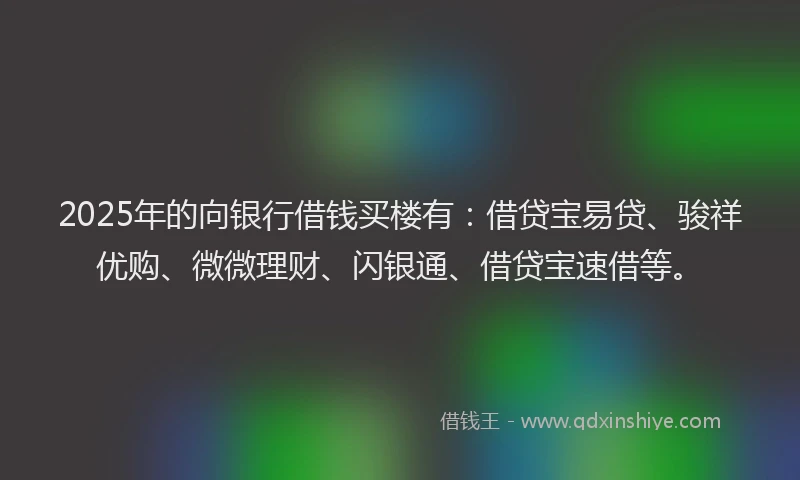 2025年的向银行借钱买楼有：借贷宝易贷、骏祥优购、微微理财、闪银通、借贷宝速借等。