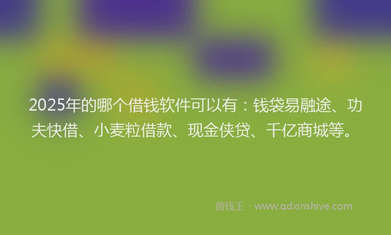 2025年的哪个借钱软件可以有：钱袋易融途、功夫快借、小麦粒借款、现金侠贷、千亿商城等。