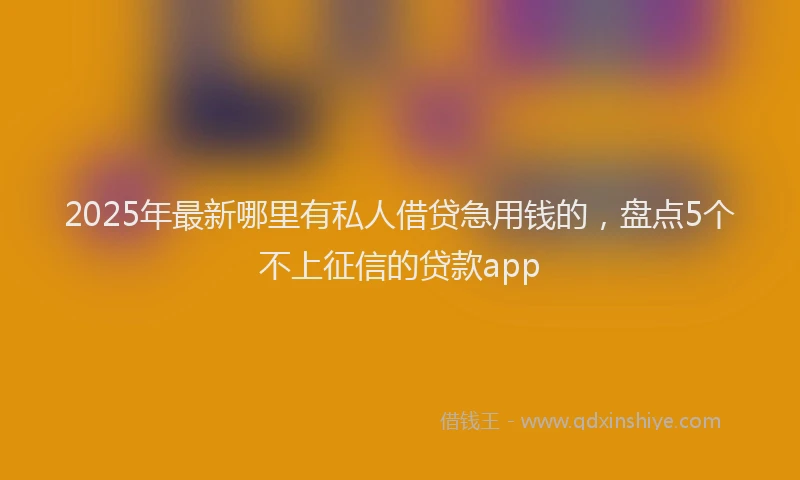 2025年最新哪里有私人借贷急用钱的，盘点5个不上征信的贷款app