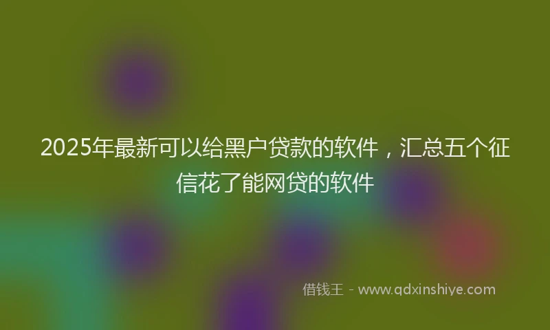 2025年最新可以给黑户贷款的软件，汇总五个征信花了能网贷的软件