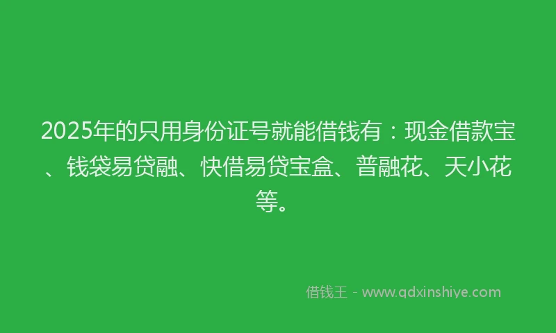2025年的只用身份证号就能借钱有：现金借款宝、钱袋易贷融、快借易贷宝盒、普融花、天小花等。