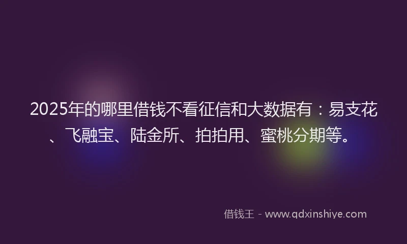 2025年的哪里借钱不看征信和大数据有：易支花、飞融宝、陆金所、拍拍用、蜜桃分期等。