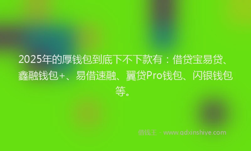 2025年的厚钱包到底下不下款有：借贷宝易贷、鑫融钱包+、易借速融、翼贷Pro钱包、闪银钱包等。