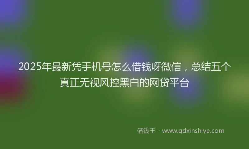 2025年最新凭手机号怎么借钱呀微信，总结五个真正无视风控黑白的网贷平台
