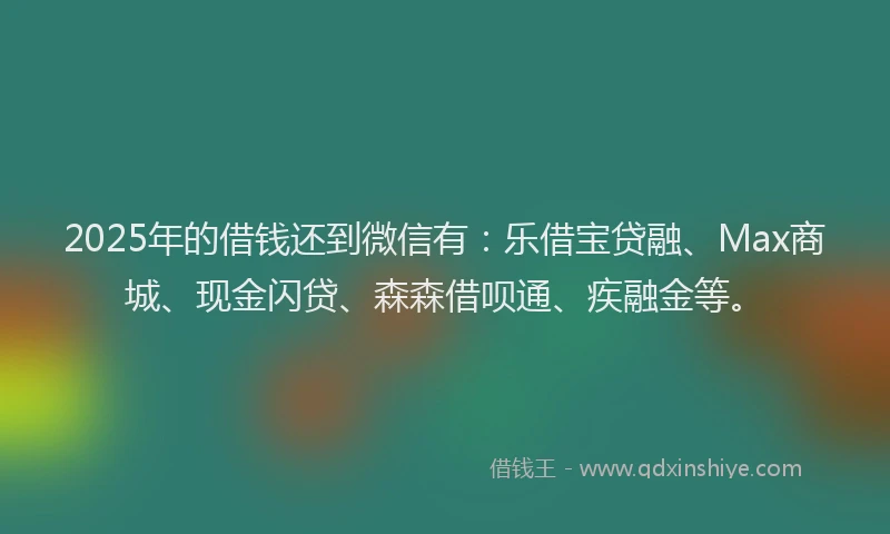 2025年的借钱还到微信有：乐借宝贷融、Max商城、现金闪贷、森森借呗通、疾融金等。