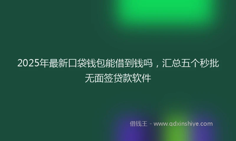 2025年最新口袋钱包能借到钱吗，汇总五个秒批无面签贷款软件