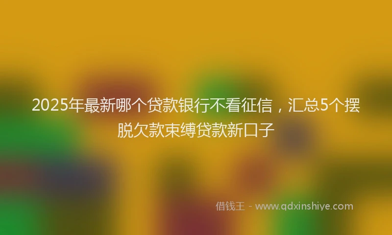 2025年最新哪个贷款银行不看征信，汇总5个摆脱欠款束缚贷款新口子