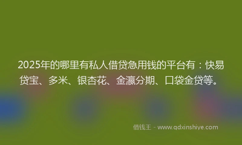 2025年的哪里有私人借贷急用钱的平台有：快易贷宝、多米、银杏花、金瀛分期、口袋金贷等。