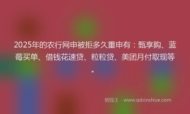 2025年的农行网申被拒多久重申有：甄享购、蓝莓买单、借钱花速贷、粒粒贷、美团月付取现等。