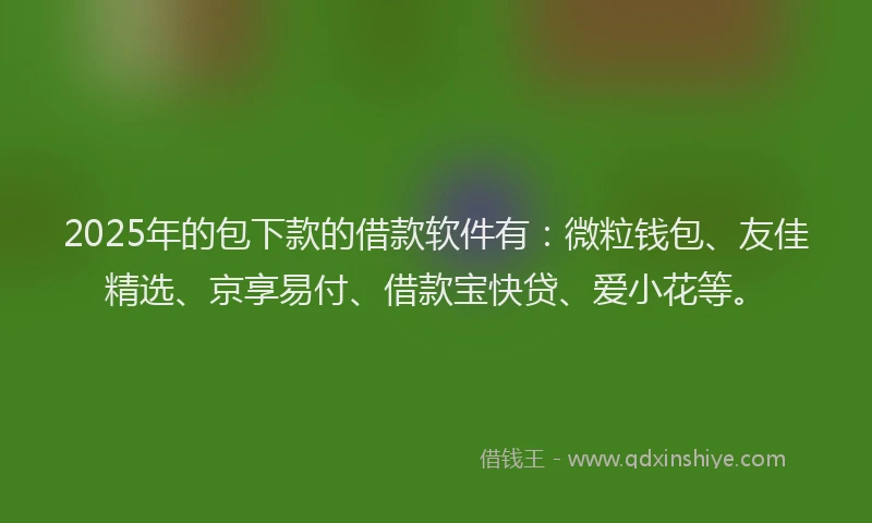 2025年的包下款的借款软件有：微粒钱包、友佳精选、京享易付、借款宝快贷、爱小花等。