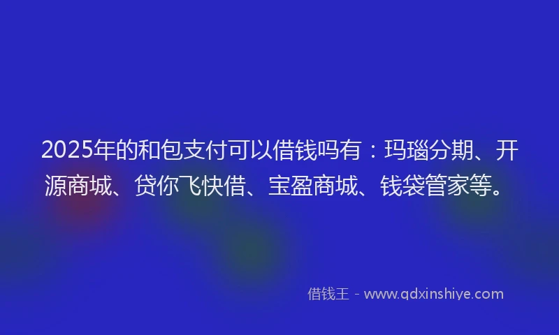 2025年的和包支付可以借钱吗有：玛瑙分期、开源商城、贷你飞快借、宝盈商城、钱袋管家等。