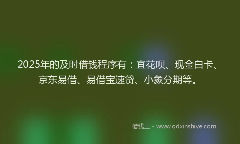 2025年的及时借钱程序有：宜花呗、现金白卡、京东易借、易借宝速贷、小象分期等。