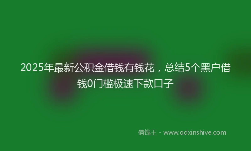 2025年最新公积金借钱有钱花，总结5个黑户借钱0门槛极速下款口子