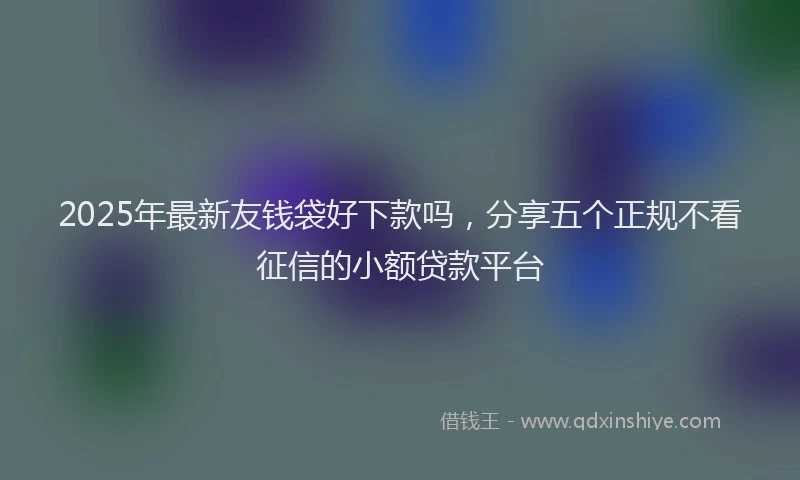2025年最新友钱袋好下款吗，分享五个正规不看征信的小额贷款平台