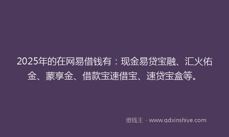 2025年的在网易借钱有：现金易贷宝融、汇火佑金、蒙享金、借款宝速借宝、速贷宝盒等。