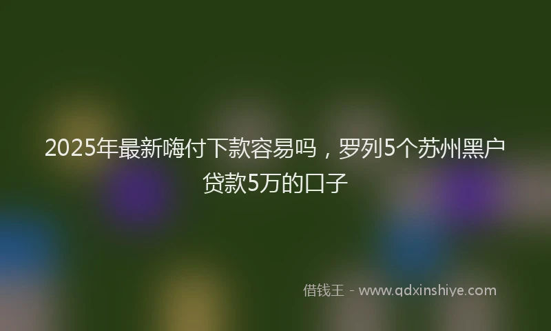2025年最新嗨付下款容易吗，罗列5个苏州黑户贷款5万的口子