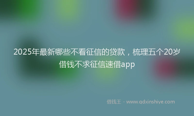 2025年最新哪些不看征信的贷款，梳理五个20岁借钱不求征信速借app