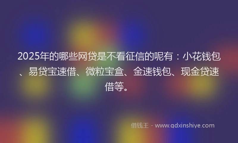 2025年的哪些网贷是不看征信的呢有：小花钱包、易贷宝速借、微粒宝盒、金速钱包、现金贷速借等。