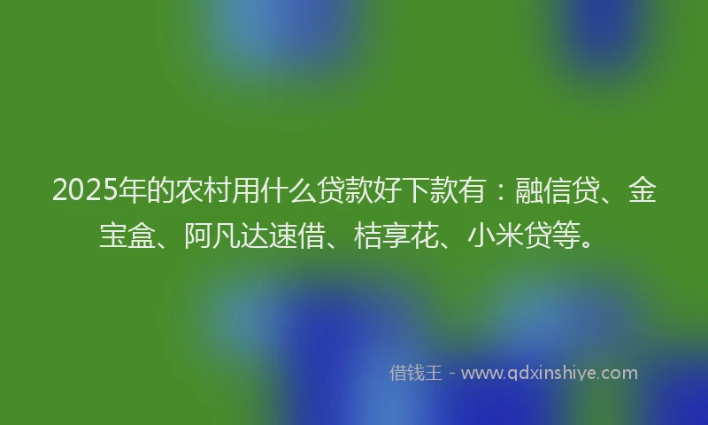 2025年的农村用什么贷款好下款有：融信贷、金宝盒、阿凡达速借、桔享花、小米贷等。