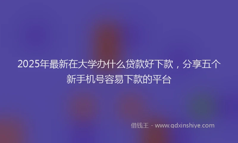 2025年最新在大学办什么贷款好下款，分享五个新手机号容易下款的平台