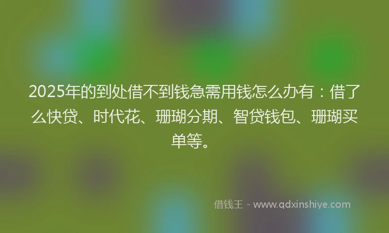 2025年的到处借不到钱急需用钱怎么办有：借了么快贷、时代花、珊瑚分期、智贷钱包、珊瑚买单等。