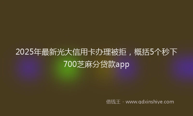2025年最新光大信用卡办理被拒，概括5个秒下700芝麻分贷款app