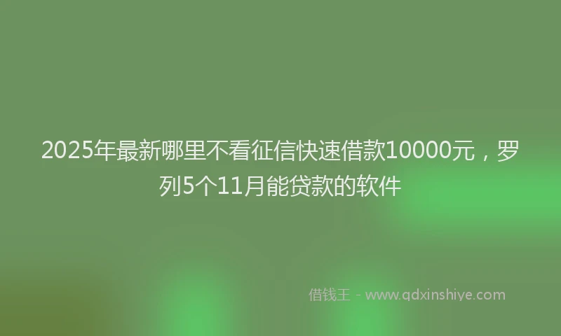 2025年最新哪里不看征信快速借款10000元，罗列5个11月能贷款的软件