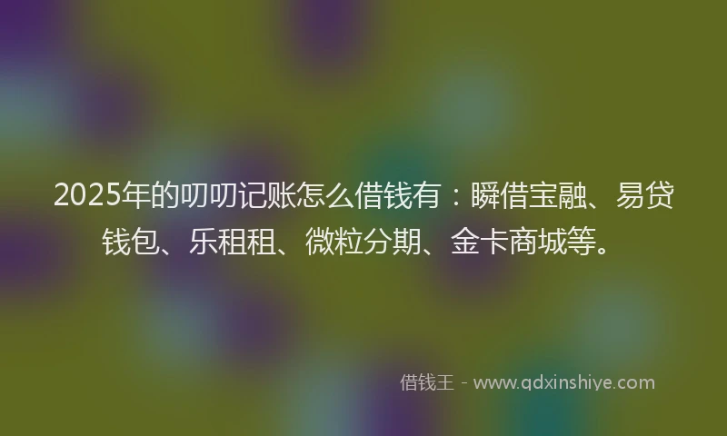 2025年的叨叨记账怎么借钱有：瞬借宝融、易贷钱包、乐租租、微粒分期、金卡商城等。