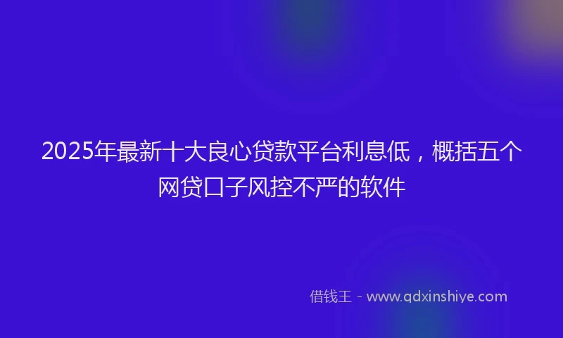 2025年最新十大良心贷款平台利息低，概括五个网贷口子风控不严的软件