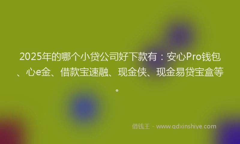 2025年的哪个小贷公司好下款有：安心Pro钱包、心e金、借款宝速融、现金侠、现金易贷宝盒等。