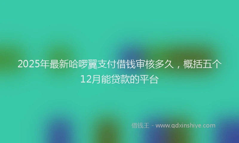 2025年最新哈啰翼支付借钱审核多久，概括五个12月能贷款的平台