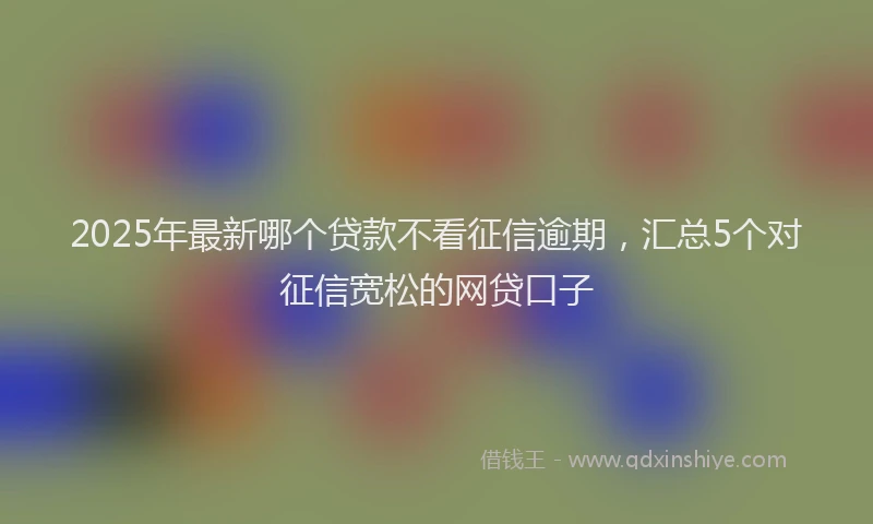 2025年最新哪个贷款不看征信逾期，汇总5个对征信宽松的网贷口子