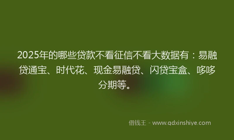 2025年的哪些贷款不看征信不看大数据有：易融贷通宝、时代花、现金易融贷、闪贷宝盒、哆哆分期等。