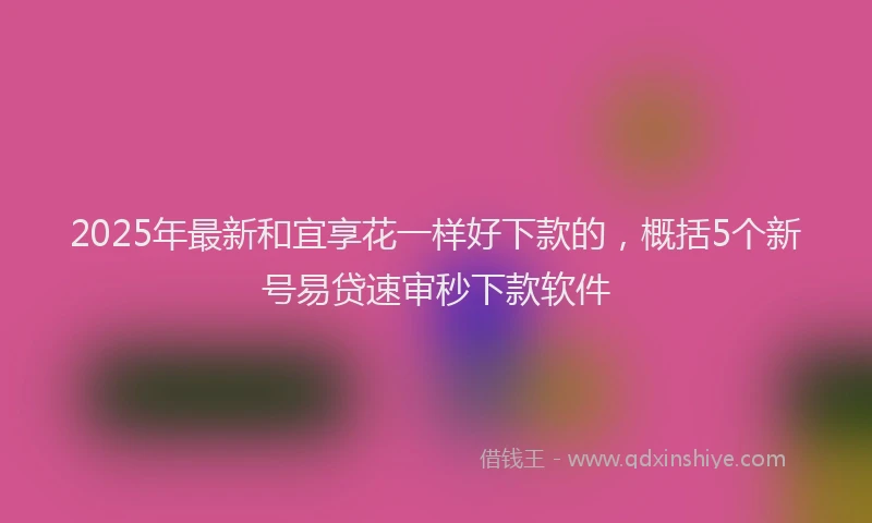 2025年最新和宜享花一样好下款的，概括5个新号易贷速审秒下款软件
