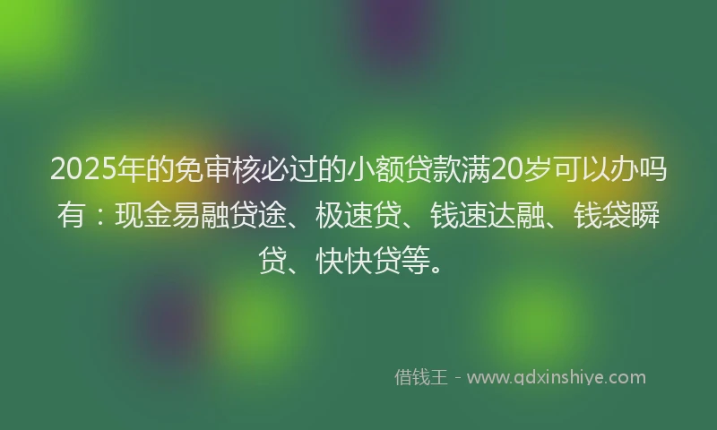2025年的免审核必过的小额贷款满20岁可以办吗有：现金易融贷途、极速贷、钱速达融、钱袋瞬贷、快快贷等。
