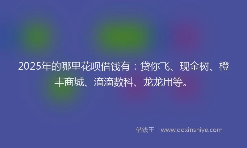 2025年的哪里花呗借钱有：贷你飞、现金树、橙丰商城、滴滴数科、龙龙用等。