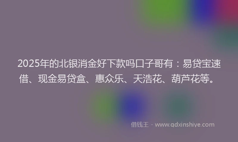 2025年的北银消金好下款吗口子哥有：易贷宝速借、现金易贷盒、惠众乐、天浩花、葫芦花等。