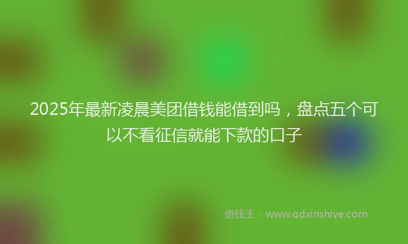 2025年最新凌晨美团借钱能借到吗，盘点五个可以不看征信就能下款的口子