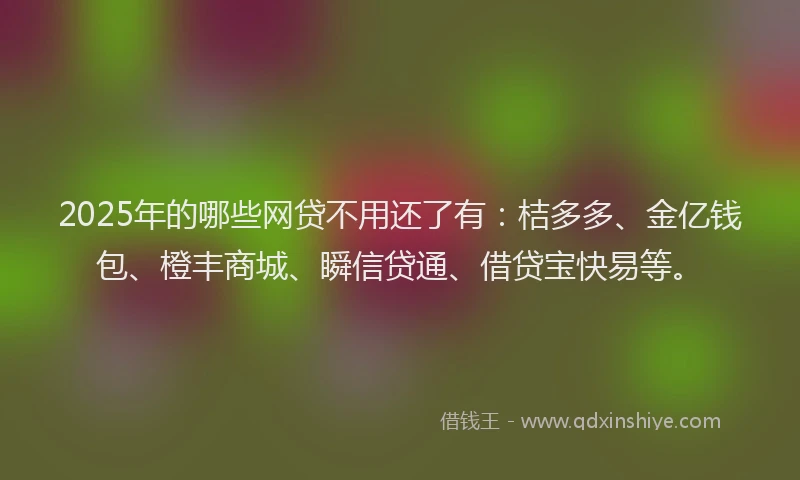 2025年的哪些网贷不用还了有：桔多多、金亿钱包、橙丰商城、瞬信贷通、借贷宝快易等。