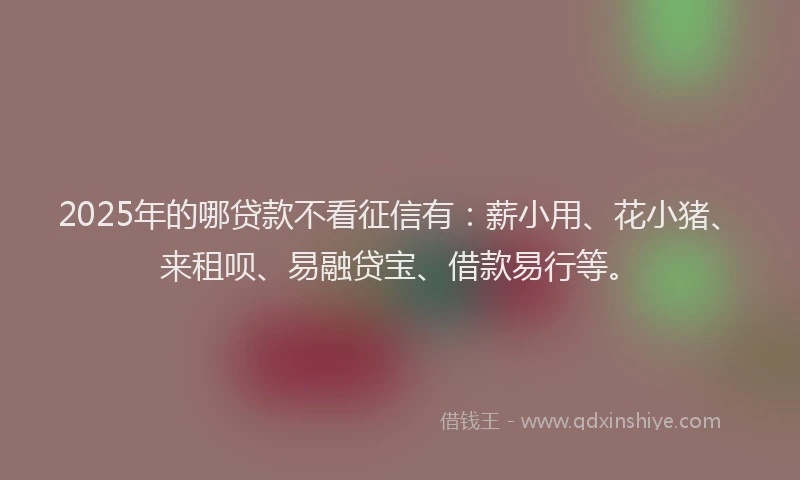2025年的哪贷款不看征信有：薪小用、花小猪、来租呗、易融贷宝、借款易行等。