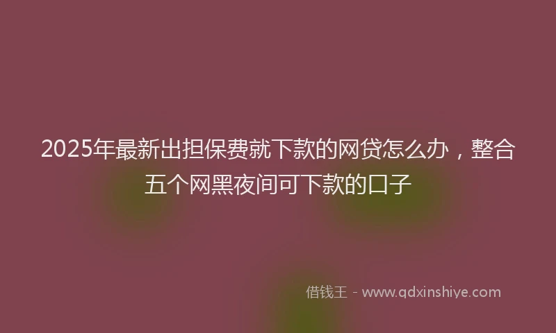 2025年最新出担保费就下款的网贷怎么办，整合五个网黑夜间可下款的口子