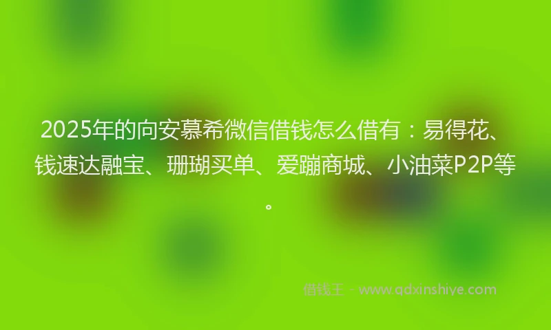 2025年的向安慕希微信借钱怎么借有：易得花、钱速达融宝、珊瑚买单、爱蹦商城、小油菜P2P等。
