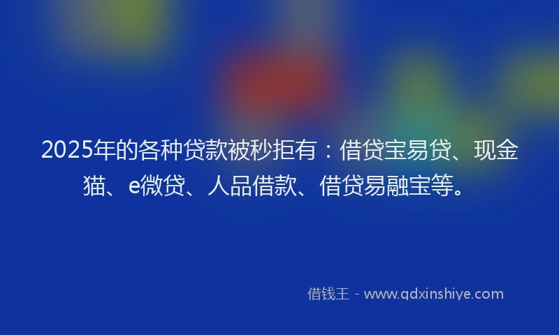 2025年的各种贷款被秒拒有：借贷宝易贷、现金猫、e微贷、人品借款、借贷易融宝等。