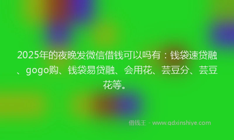 2025年的夜晚发微信借钱可以吗有：钱袋速贷融、gogo购、钱袋易贷融、会用花、芸豆分、芸豆花等。