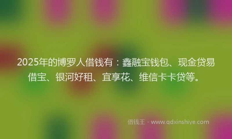 2025年的博罗人借钱有：鑫融宝钱包、现金贷易借宝、银河好租、宜享花、维信卡卡贷等。