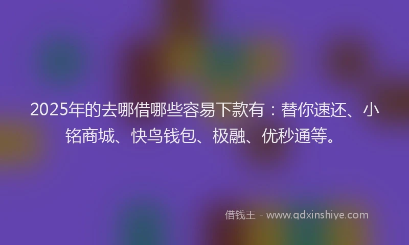 2025年的去哪借哪些容易下款有：替你速还、小铭商城、快鸟钱包、极融、优秒通等。